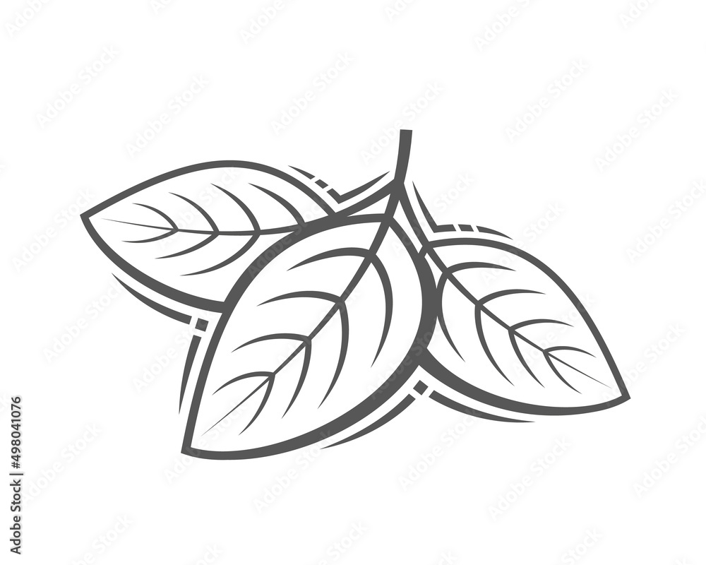 Fresh leaves isolated on white background. Cosmetic concept. Vector illustration Fresh leaves isolated on white background. Cosmetic concept. Vector illustration