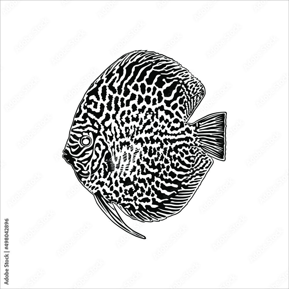 Symphysodon, colloquially known as Discus Fish, Silhouette Illustration