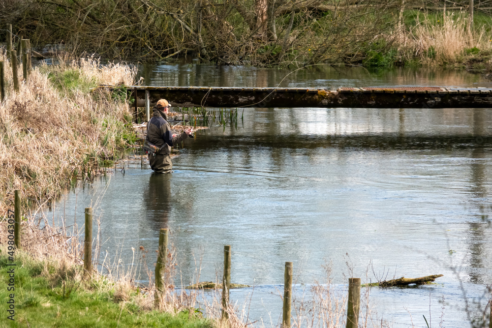 a fly fisherman angler in chest waders casts his line fishing for brown trout on the beautiful scenic river Avon, Wiltshire UK a fly fisherman angler in chest waders casts his line fishing for brown trout on the beautiful scenic river Avon, Wiltshire UK