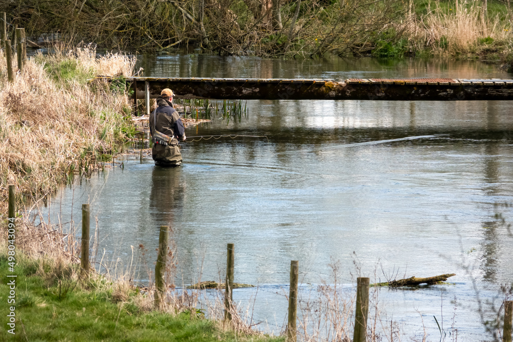 a man in chest waders stands in the river Avon, Wiltshire fly fishing for brown trout a man in chest waders stands in the river Avon, Wiltshire fly fishing for brown trout