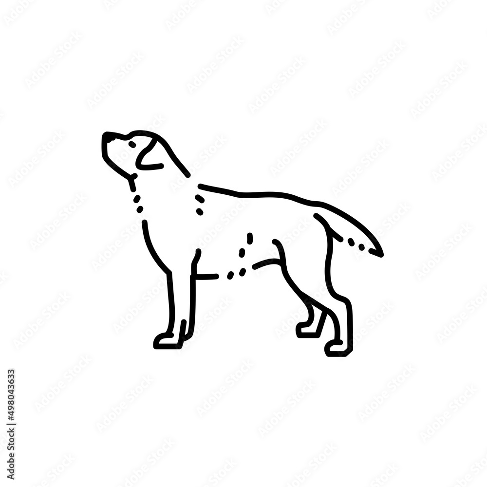 Labrador retriever color line icon. Dog breed.