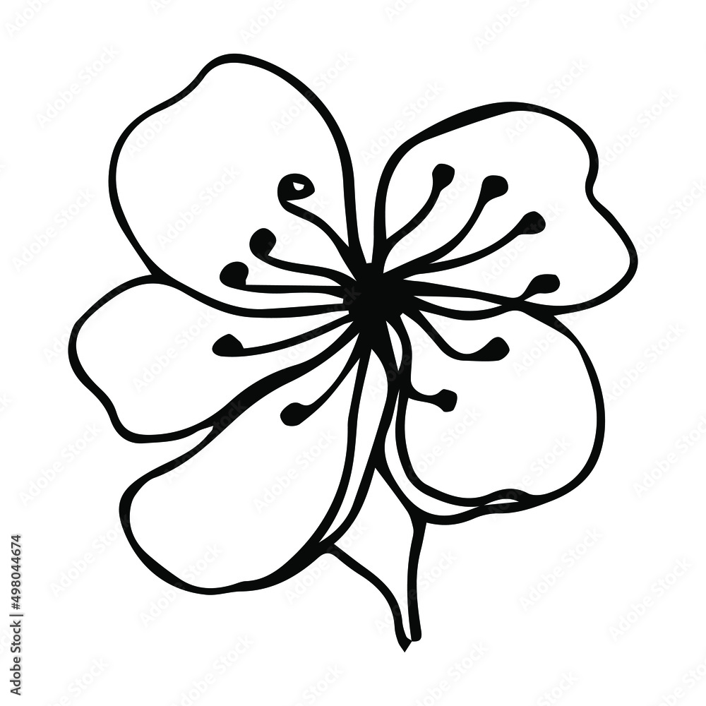 Sakura flower doodle icon. Back line isolated on white. One line contour floral drawing.Vector illustration Sakura flower doodle icon. Back line isolated on white. One line contour floral drawing.Vector illustration