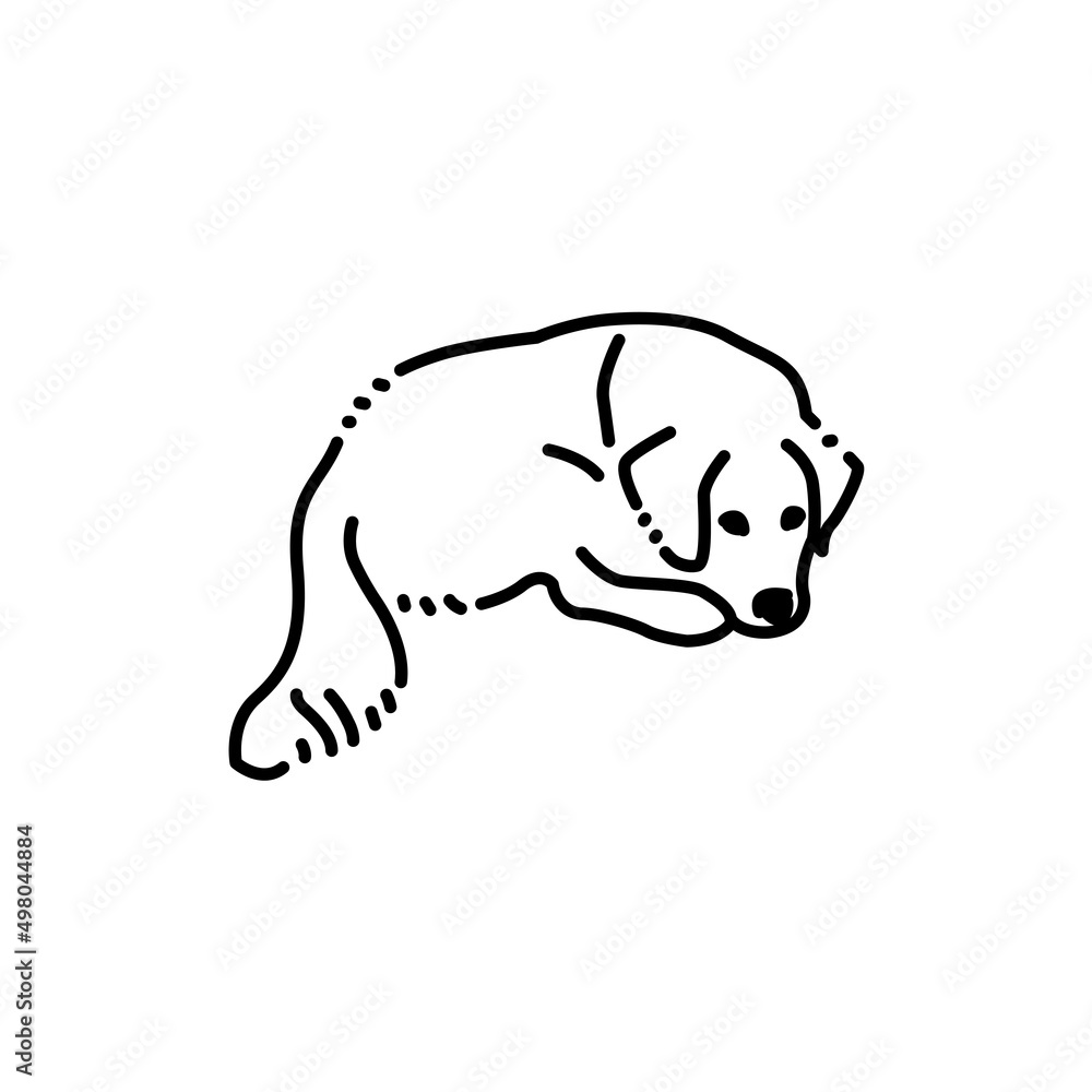 Obraz premium Sitting golden retriever adult color line icon. Pictogram for web page
