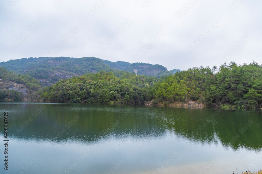 Obraz premium lake and forest