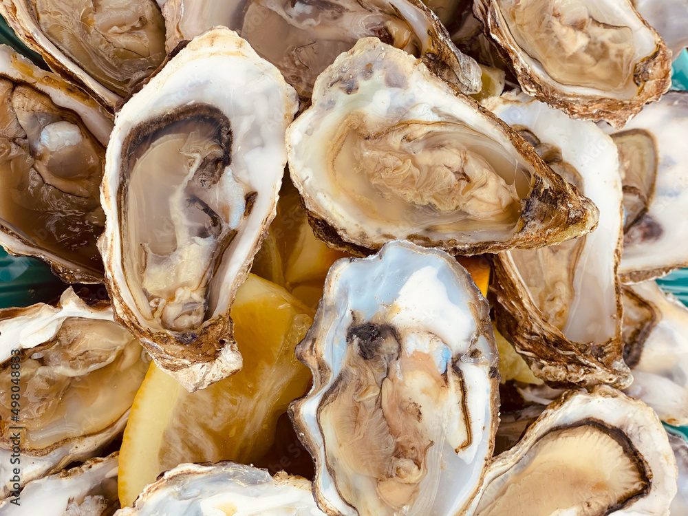 Open oysters with lemon on a beautiful blue plate.Oysters background. Sea delicacy. Open oysters with lemon on a beautiful blue plate.Oysters background. Sea delicacy.