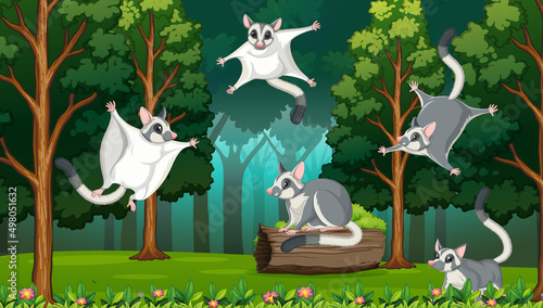 Scene with sugar glider in forest