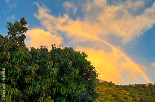 Rainbow in Hawaii. Forests and clear skies. colorful rainbow