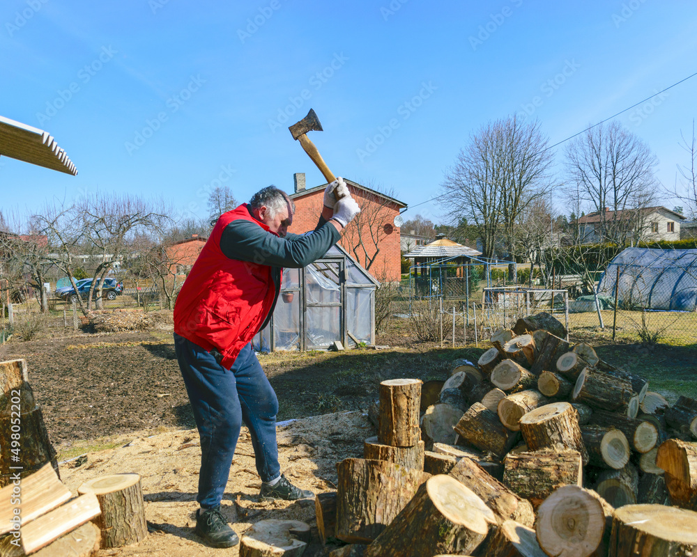 a man in a red vest, a man in his yard splits firewood, climate change, heated energy, energy crisis a man in a red vest, a man in his yard splits firewood, climate change, heated energy, energy crisis