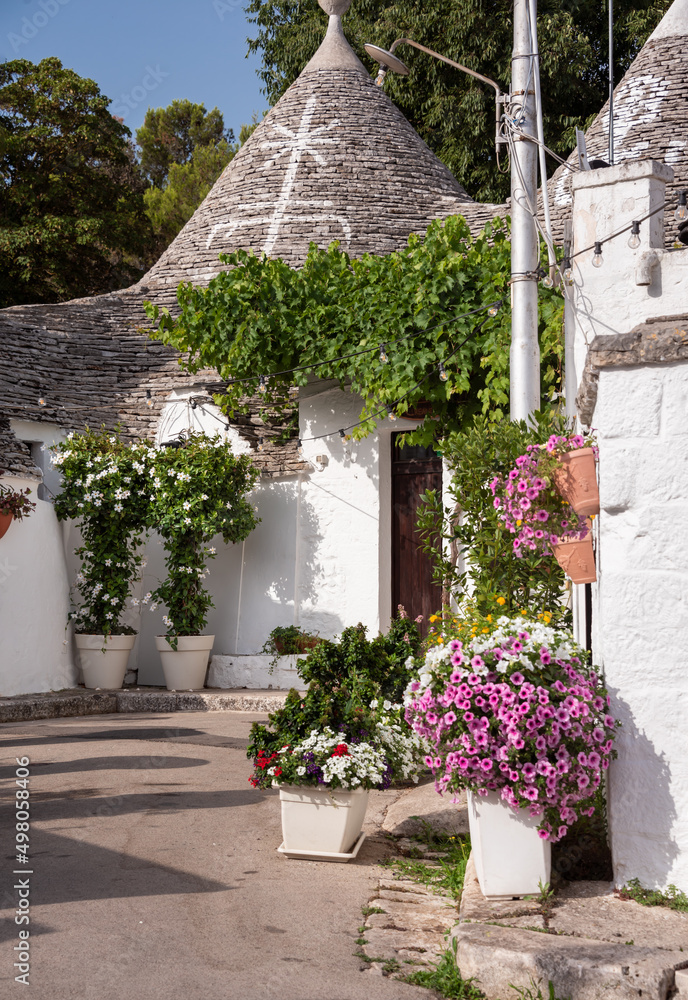 Naklejka premium Alberobello town in Italy, famous for its hictoric trullo houses