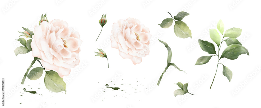 Set of rose bouquet watercolor elements isolated on white background ...