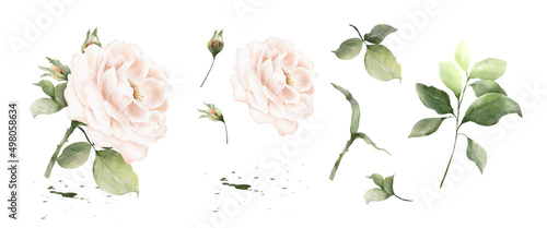 Fotografie, Obraz Set of rose bouquet watercolor elements isolated on white background