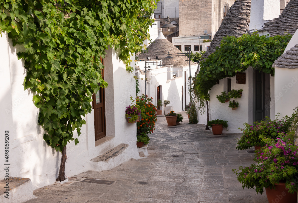 Fototapeta premium Alberobello town in Italy, famous for its hictoric trullo houses