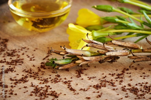 Evening primrose pods, flowers, seeds and oil