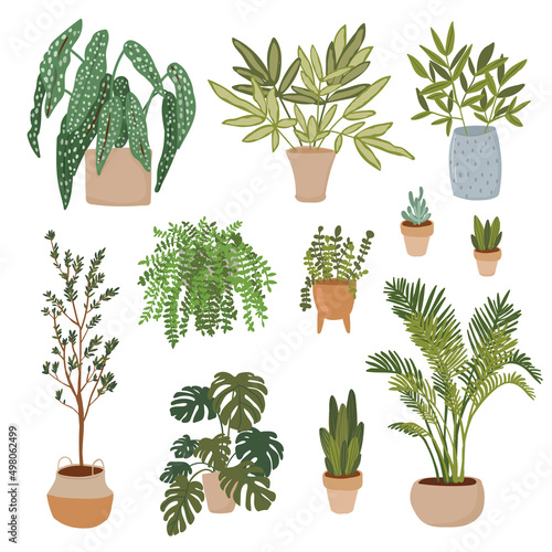 Plant in pot vector illustration set, flat different indoor potted decorative houseplants for interior home or office decorat set.ion, green garden floral collection icons isolated on white. Cactus