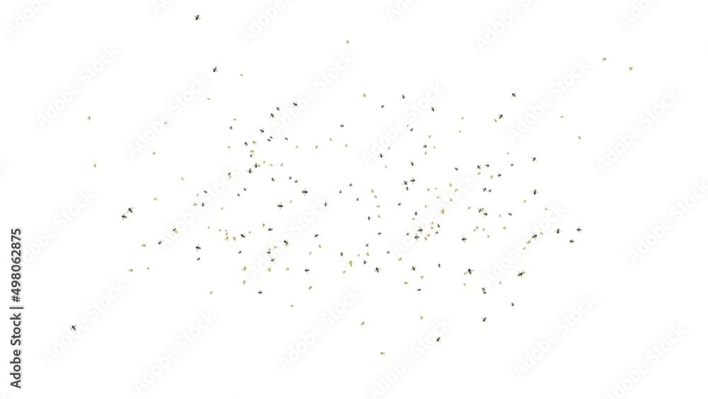 Hundreds of bees flying around creating a swarm Loop Green screen Background. Working bee flying on honey. Hobby and hobby concept with flying bees in sunshine. Health and business concept. Hundreds of bees flying around creating a swarm Loop Green screen Background. Working bee flying on honey. Hobby and hobby concept with flying bees in sunshine. Health and business concept.