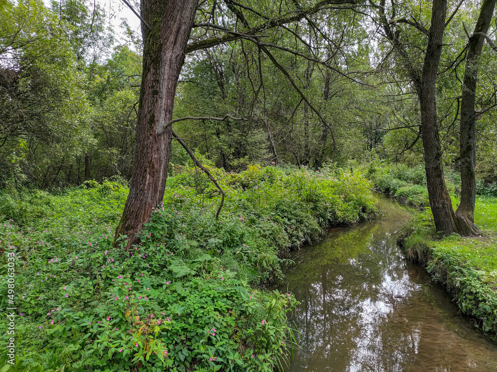 River Serebryanka in a Moscow park Izmaylovo River Serebryanka in a Moscow park Izmaylovo