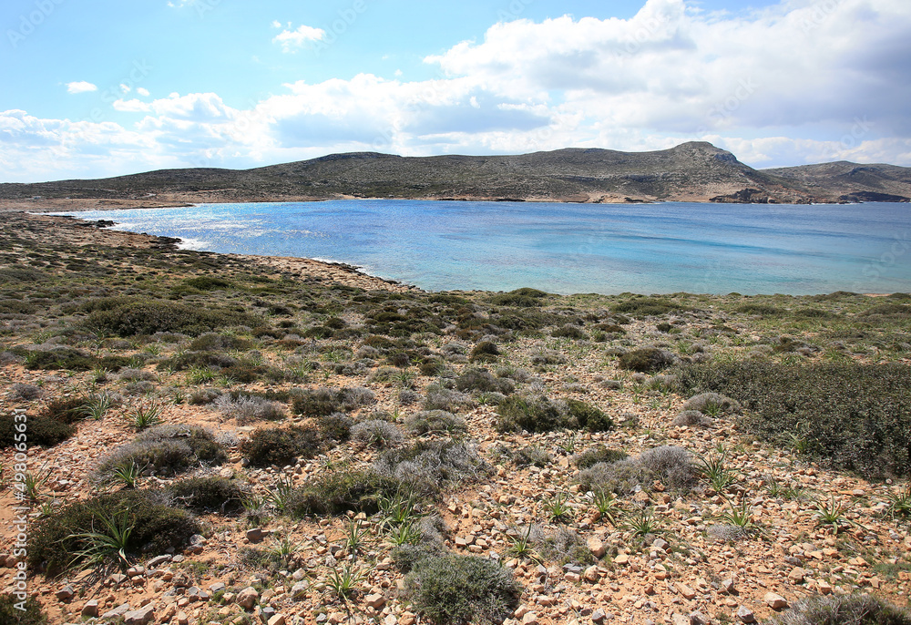 Stones and xerothermic grassland in Kyriamadia Natural Park (northeastern part of Crete)