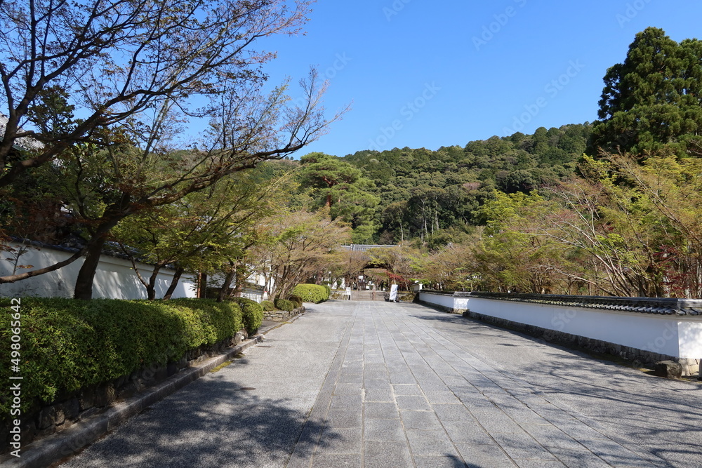 The access to the precincts of Zenrin-ji Temple in Kyoto City in Japan 日本の京都市にある禅林寺境内への参道