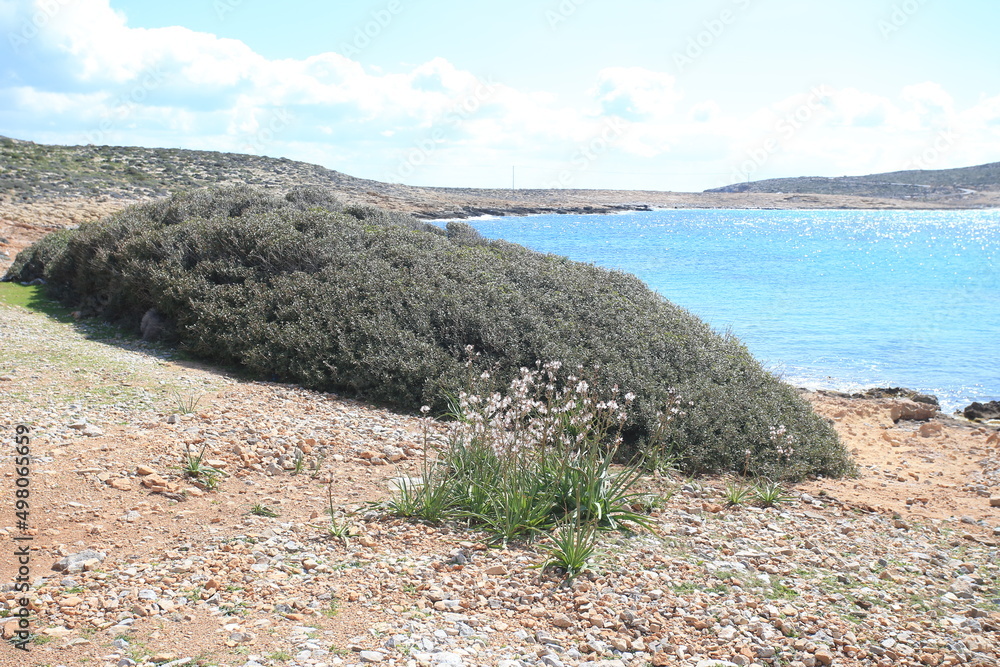 Stones and xerothermic grassland in Kyriamadia Natural Park (northeastern part of Crete)