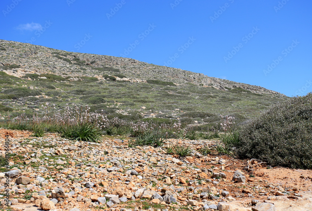 Stones and xerothermic grassland in Kyriamadia Natural Park (northeastern part of Crete)