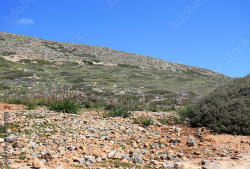 Obraz na płótnie Stones and xerothermic grassland in Kyriamadia Natural Park (northeastern part of Crete) w salonie