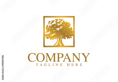 golden oak tree logo design. logo template
