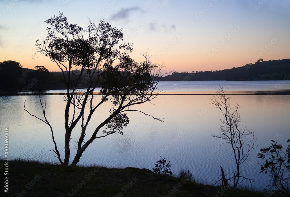 Fototapeta premium Night landscape in soft sunset colour, blue water and silhouetted trees