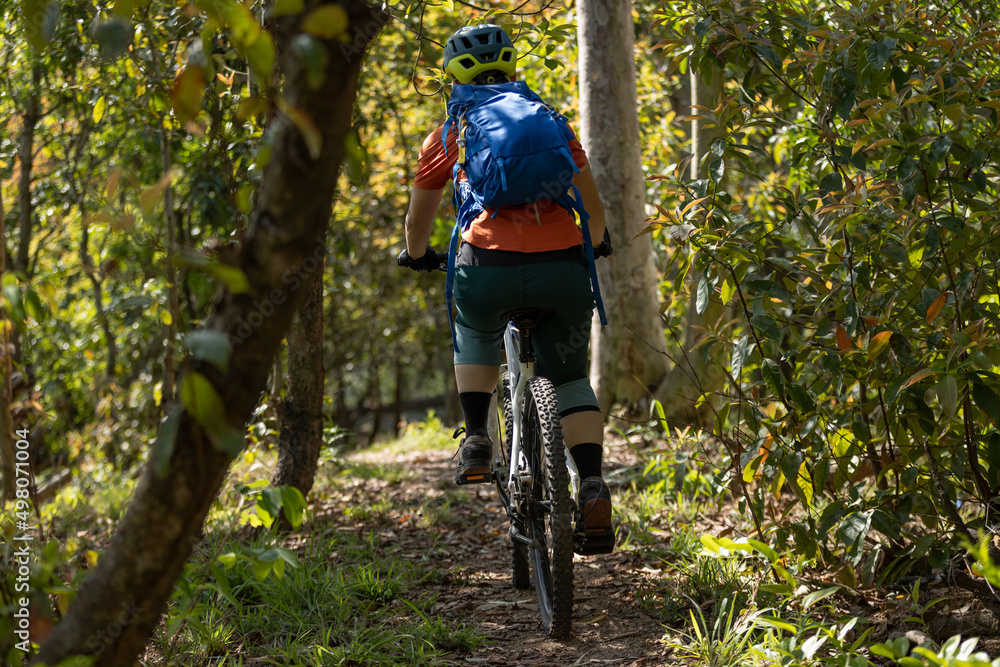 Mountain biking in spring forest Mountain biking in spring forest