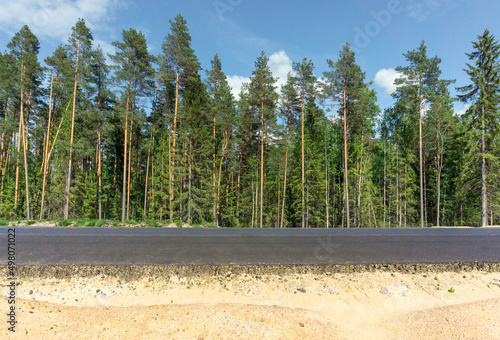 Asphalt road in coniferous forest, sandy roadside