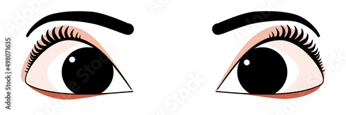 Cute cartoon eyes. Hand drawn sexy woman's eyes. Shaped eyebrows and full eyelashes. T-shirt pattern design idea, print vector print, perfect beauty salon.