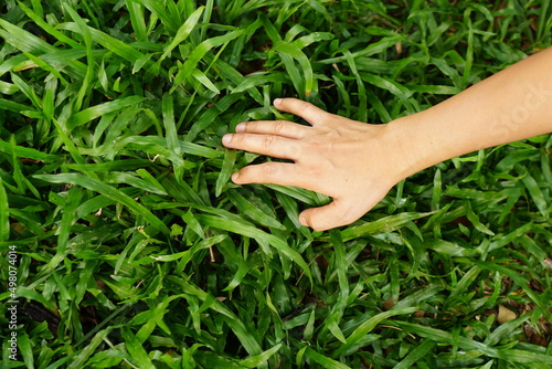 human hand touching grass. concept of saving the world
