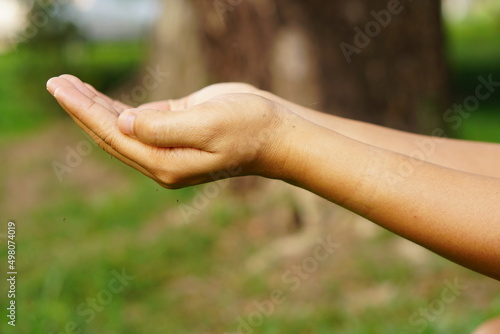 woman extending her hand in front © buraratn