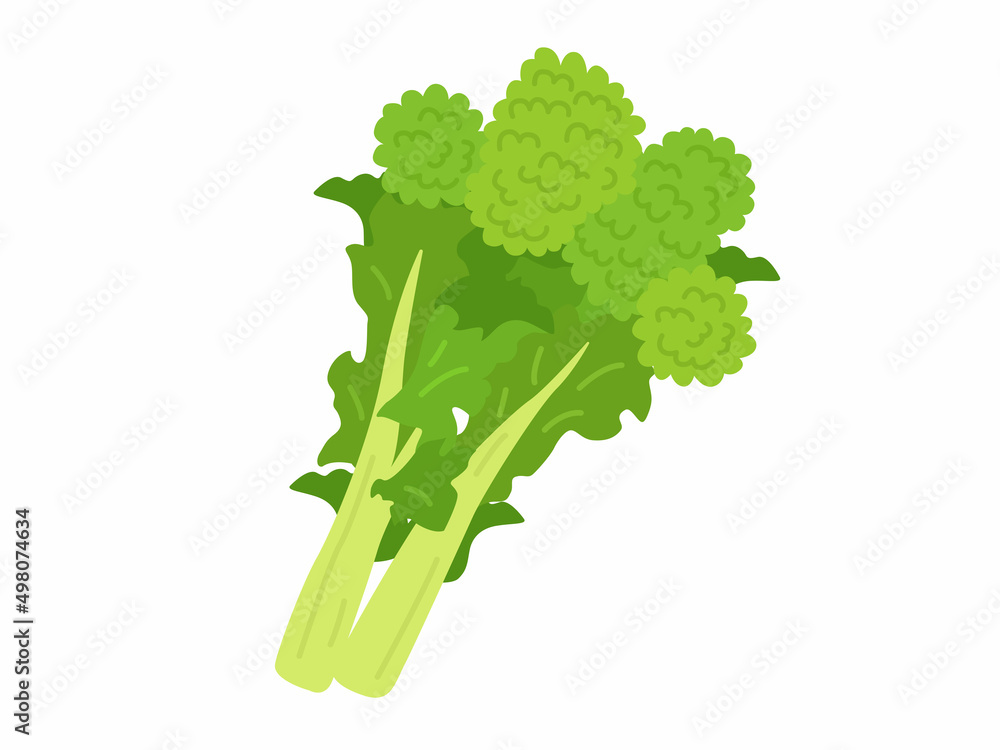 菜の花のイラスト Stock Vector Adobe Stock