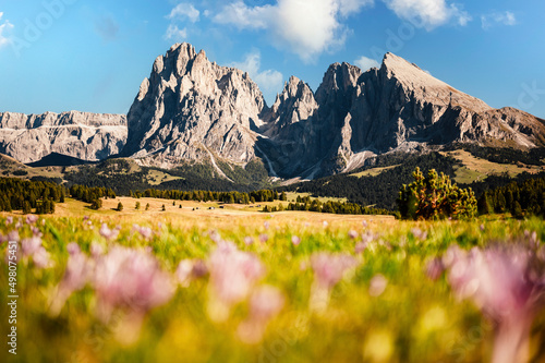 Billede på lærred Alpe di Siusi - Seiser Alm- Langkofel mountain group