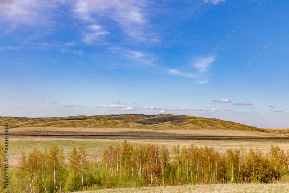 Fototapeta premium Burtinskaya steppe (Orenburg nature reserve). Orenburg region, Southern Urals, Russia.