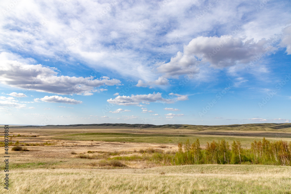 Burtinskaya steppe (Orenburg nature reserve). Orenburg region, Southern Urals, Russia.