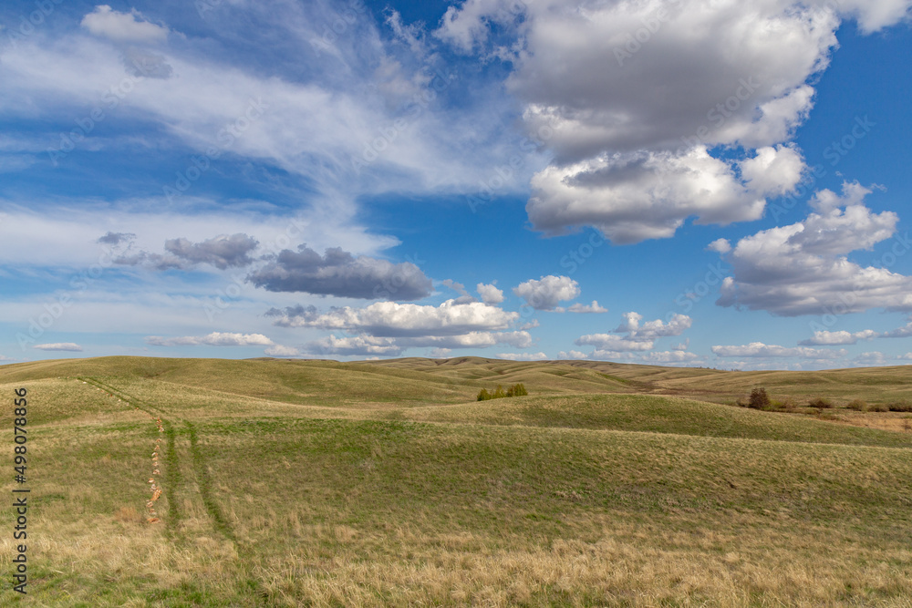 Burtinskaya steppe (Orenburg nature reserve). Orenburg region, Southern Urals, Russia. Burtinskaya steppe (Orenburg nature reserve). Orenburg region, Southern Urals, Russia.