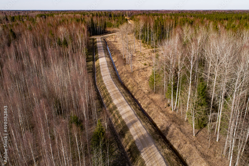 A freshly constructed gravel road through a springtime woodlands in Estonia, Northern Europe