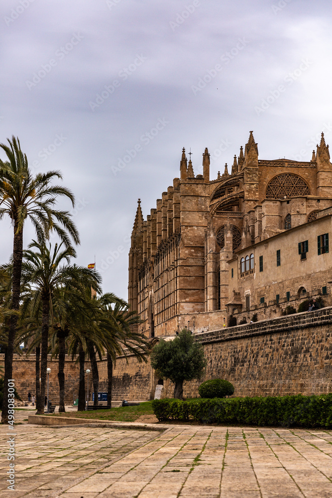 Palma in Palma de Mallorca