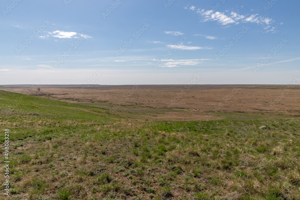 The Pre - Ural steppe (Orenburg nature reserve). Orenburg region, Southern Urals, Russia.