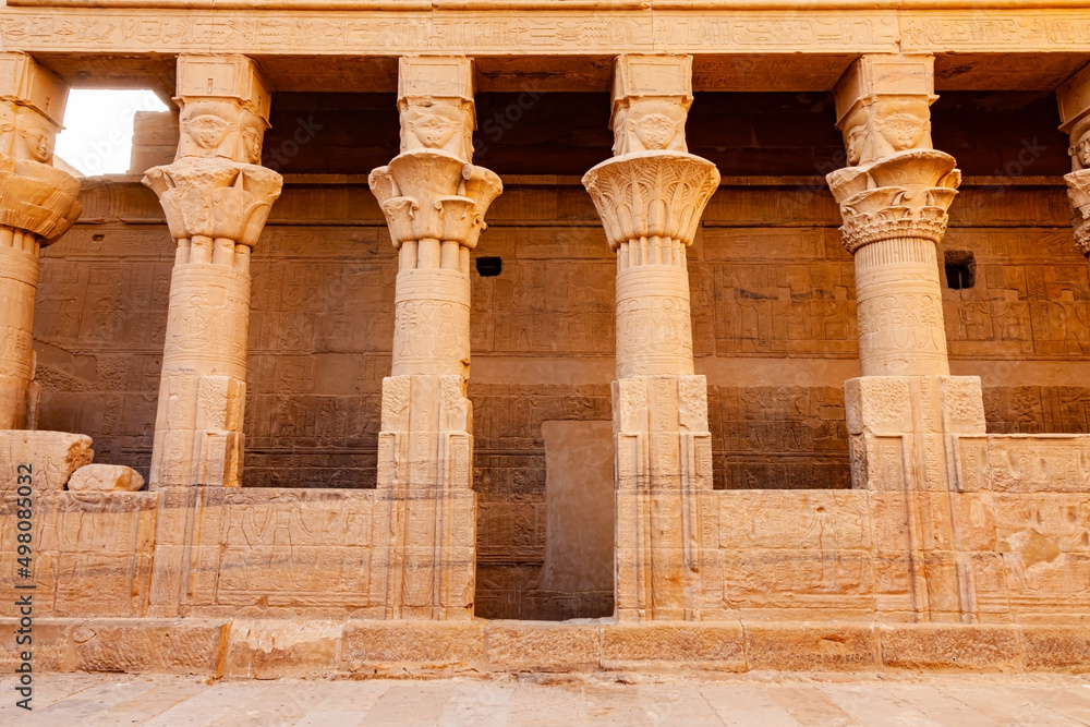 View of relief and hieroglyphs on the wall and the decoration on the columns at Temple of Isis .
