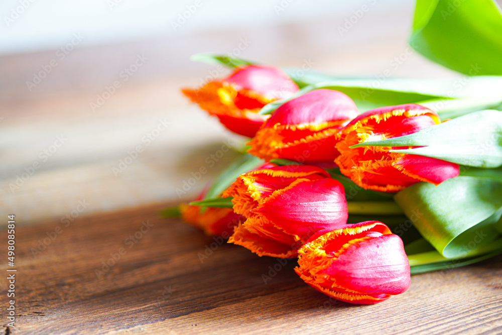 Naklejka premium Wiosna i tulipany