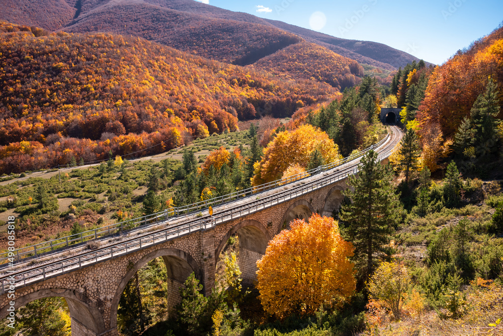 Railway with a tunnel on bridge passing in autumn forest in mountains