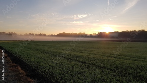 sunrise over the field © Valentina
