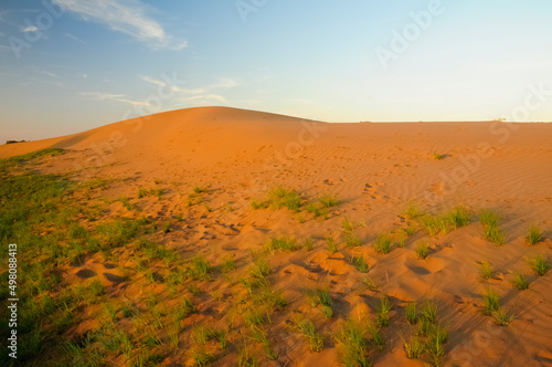 Dune landscape, La Pampa , Argentina