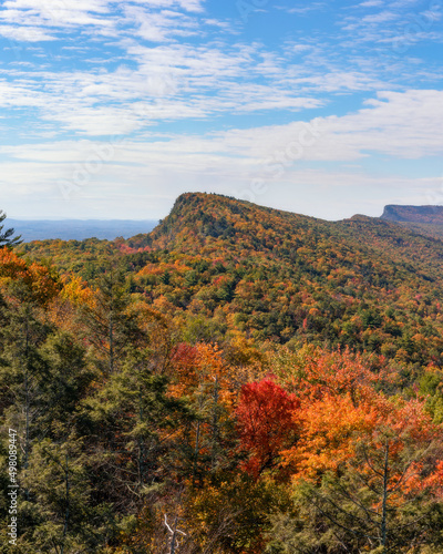 Beautiful fall foliage colors beginning to show on a mountain ridge. Shawangunk Mountains, New York
 photo