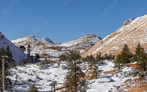 Scenic Snow Covered Zion National Park Utah Landscape