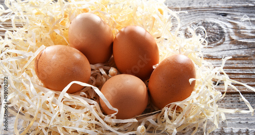 Composition with five chicken eggs on wood