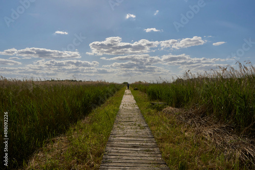 wooden platworm walkway in the middle of the nature reseserve Przemkowski Landscape Park in western Poland in spring