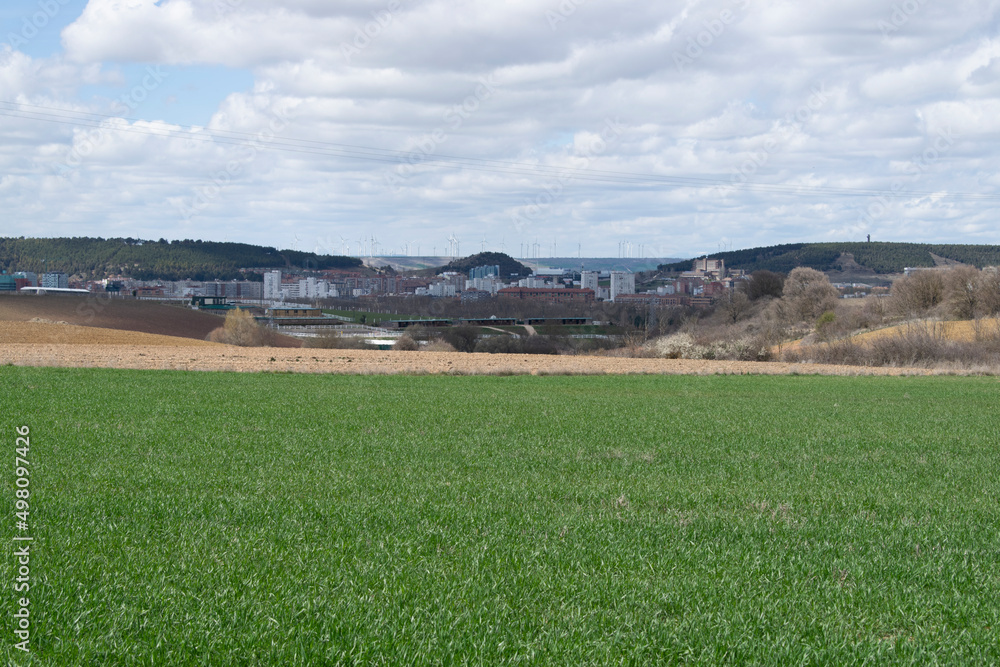 Paisaje de campos de cultivo verde en primavera. Paisaje de campos de cultivo verde en primavera.